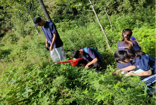 2fd4dbb94b2d48f78f1ae953c13a6ec5.png 队伍成员对草品种进行收集.png