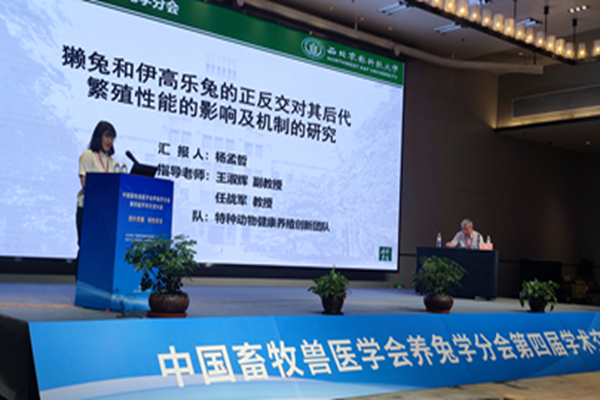 7c3568a3b6f94e55a380a94a4c00b8a8.png 6_副本.png