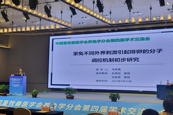 97dd17fd28ff4b93a31ed3cea5a47d9c.png 7_副本.png