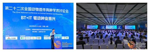 d3d04b9441064a32a9769be50546cfc5.jpg 1122.jpg