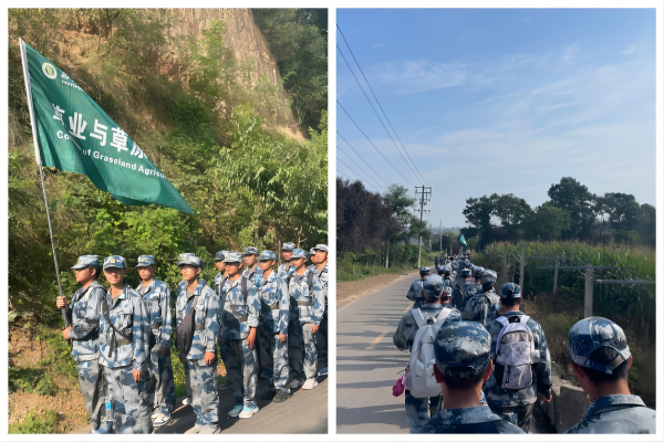 3256184d336b4e359aada658a7a3af6c.png 2.png